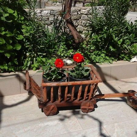 Guesthouse Familija Tariba スペタルスカ・ドラガ エクステリア 写真
