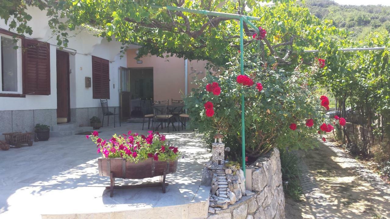 Guesthouse Familija Tariba スペタルスカ・ドラガ エクステリア 写真